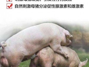 女人和公猪交内射电影：畅享激情与刺激的视觉盛宴