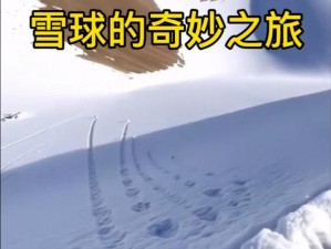 冰原挑战：雪球与水壶的奇妙之旅——如何巧妙地将雪球装入水壶中