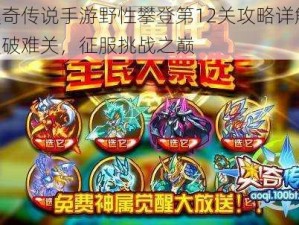 奥奇传说手游野性攀登第12关攻略详解：突破难关，征服挑战之巅