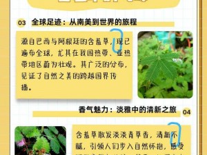 亚洲一区二区三区含羞草，鲜嫩多汁，口感鲜美，是您健康生活的最佳选择