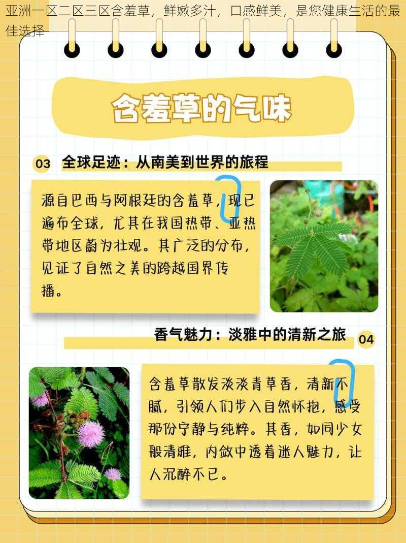 亚洲一区二区三区含羞草，鲜嫩多汁，口感鲜美，是您健康生活的最佳选择