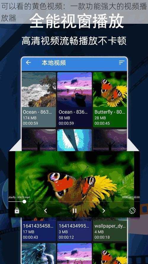 可以看的黄色视频：一款功能强大的视频播放器