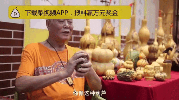 葫芦视频葫芦里面不卖药广告，在线观看各大平台热播影视剧