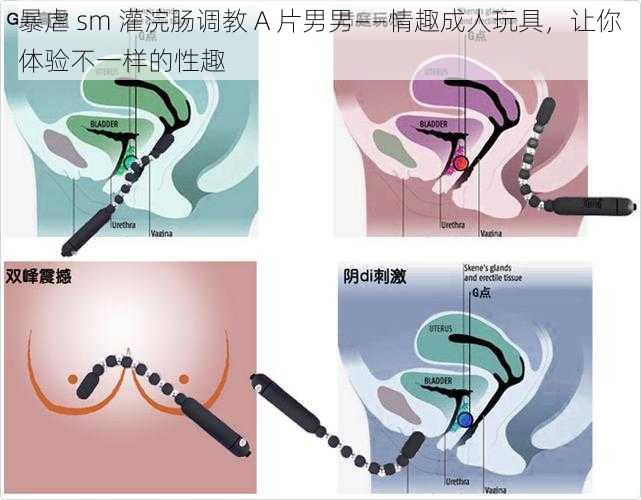 暴虐 sm 灌浣肠调教 A 片男男——情趣成人玩具，让你体验不一样的性趣