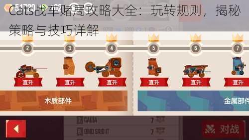 Cats战车赌局攻略大全：玩转规则，揭秘策略与技巧详解